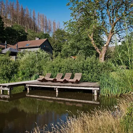 Dom wakacyjny Tiny House Nature 1 - Tiny Village Harz