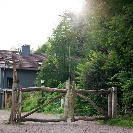 Tiny House Nature 1 - Tiny Village Harz Dom wakacyjny *