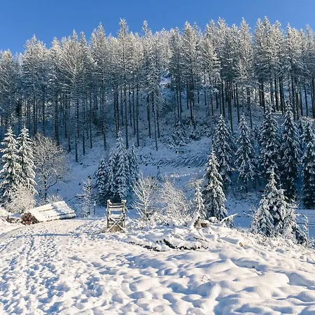 Tiny House Nature 1 - Tiny Village Harz
